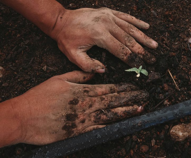 Photo of two dirt covered hands planting a seed.