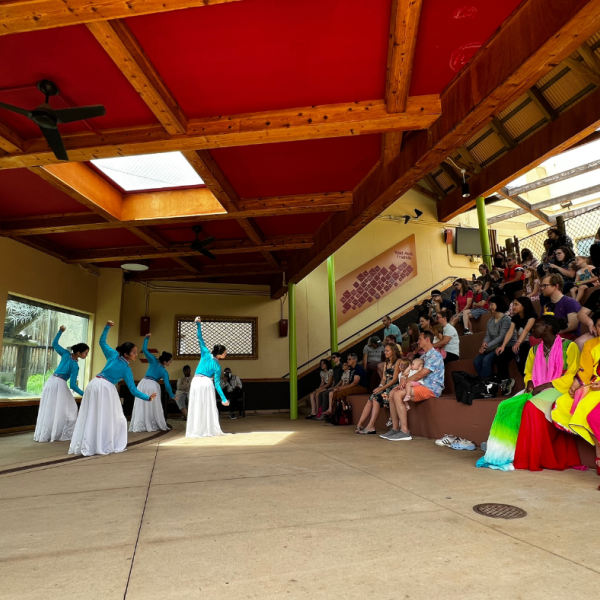 Photo of people sitting down watching a dance performance,