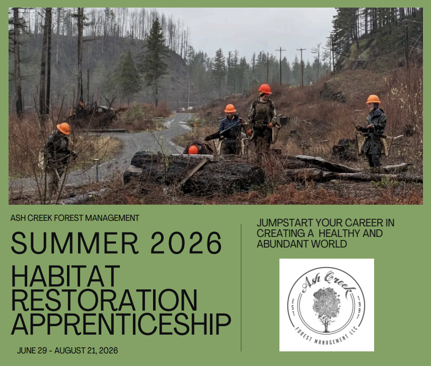 Johnson Creek Hiring Poster