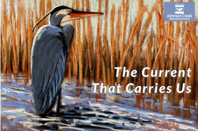 Johnson Creek Postcard Image that says "The Current That Carries Us"