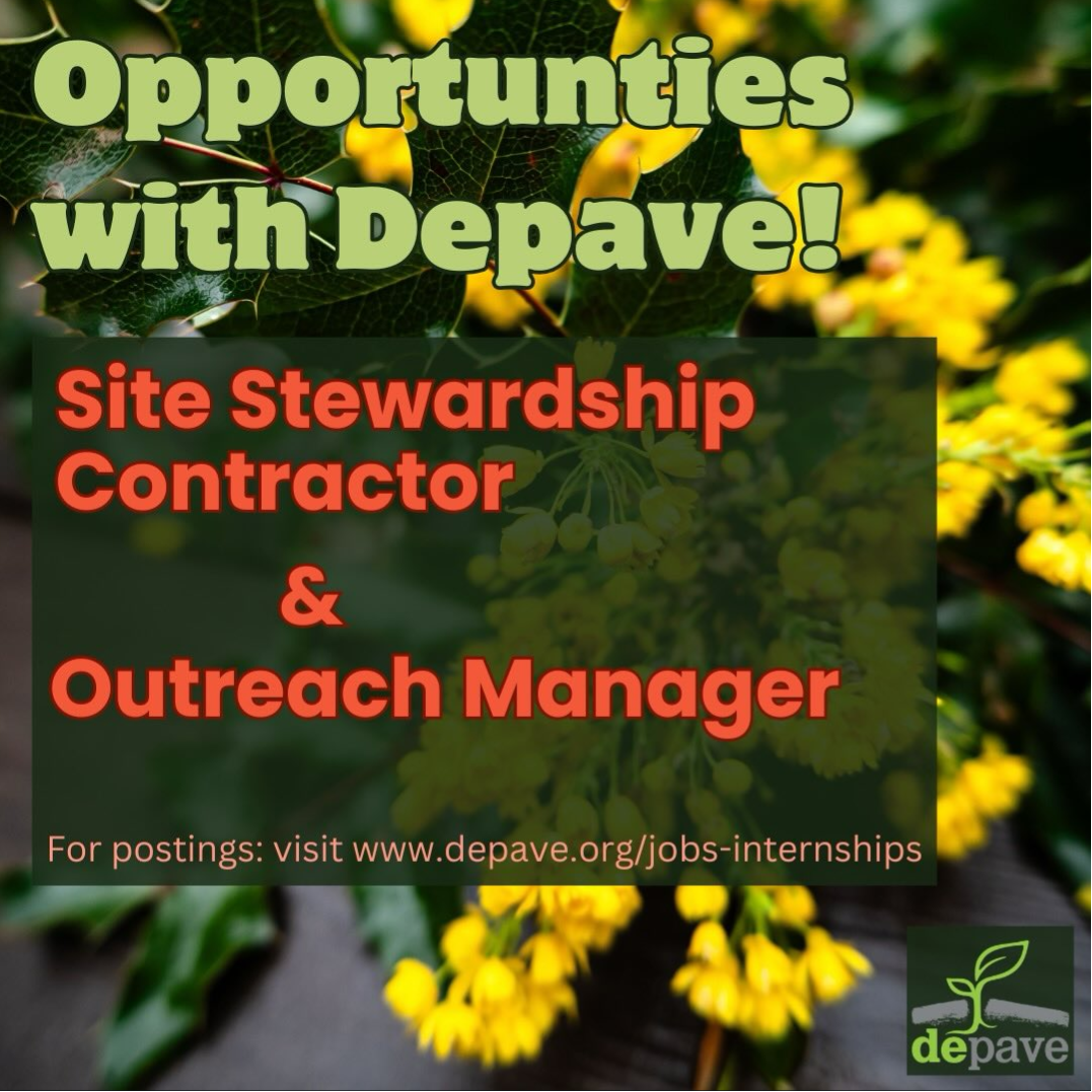 Depave Site Stewardship & Outreach Manager Poster