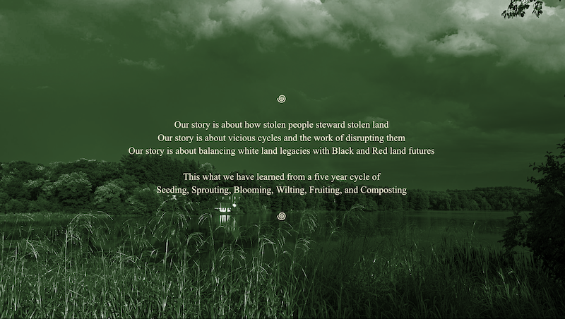 Writing on top of a photo of a lush landscape with grasses, trees, and  a lake on land stewarded by Wild Path Collective on a rainy summer day. The photo is filtered to be shades of deep green. 