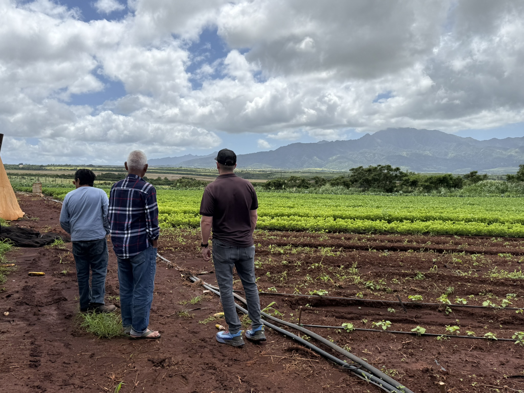 Photo of Matt Johnson and Bo Bory with PGC and Farmer Observing Damage after Kona Low Floods